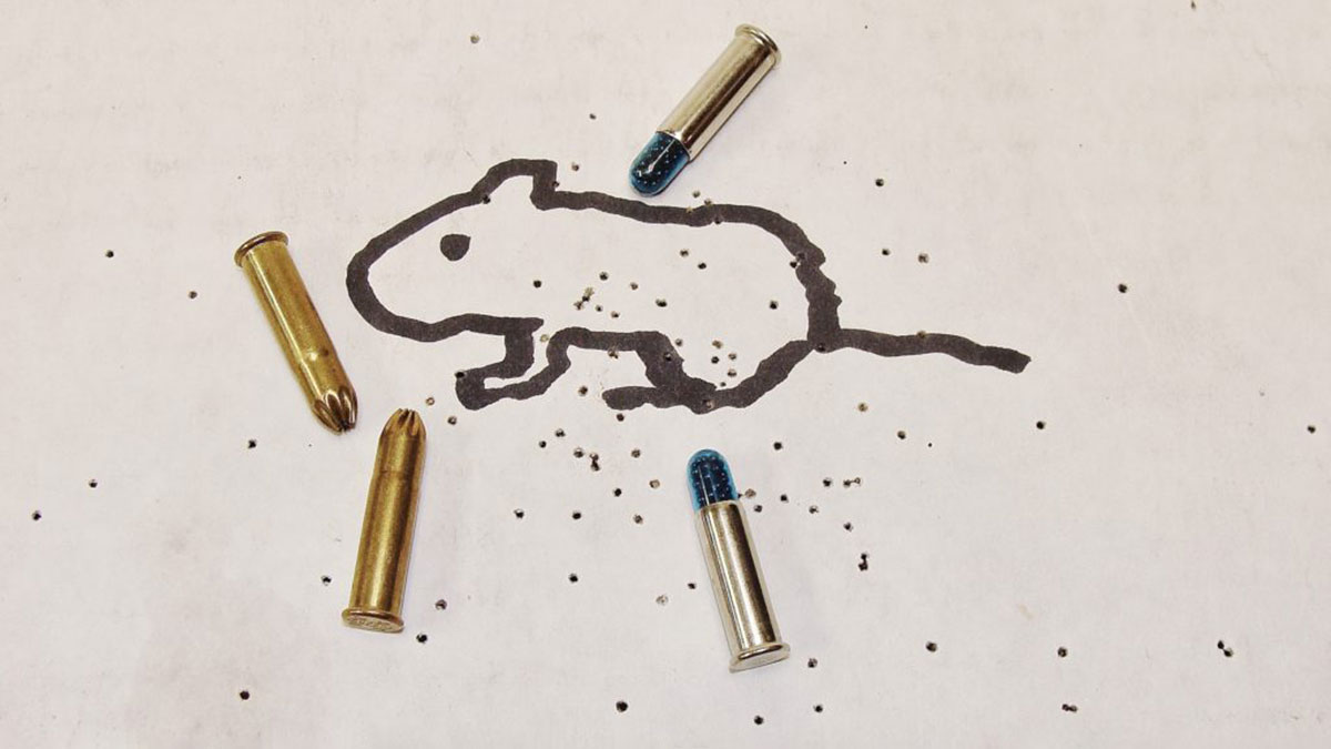 Everything to Know About .22 Rat Shot (Snake Shot)