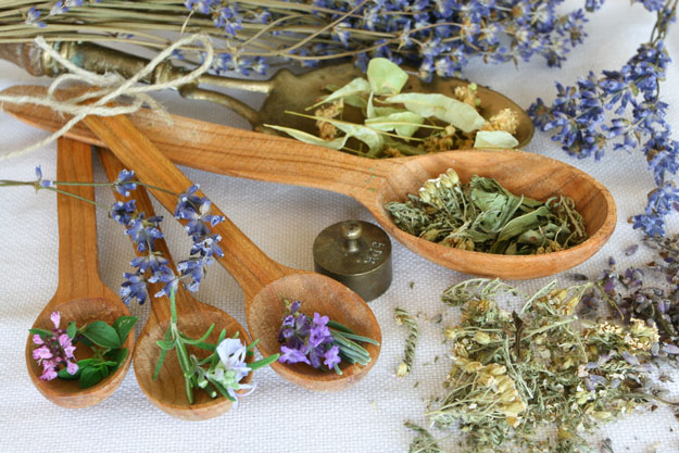 Top Medicinal Herbs To Grow At Home
