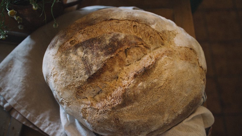 3 Healthy, Delicious Gluten-Free Sourdough Bread Recipe Options