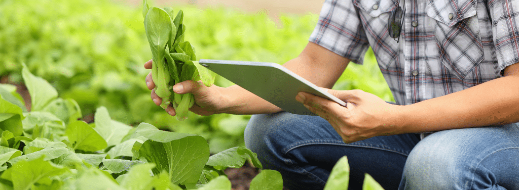 Digital Marketing for Farmers | What You Need to Know