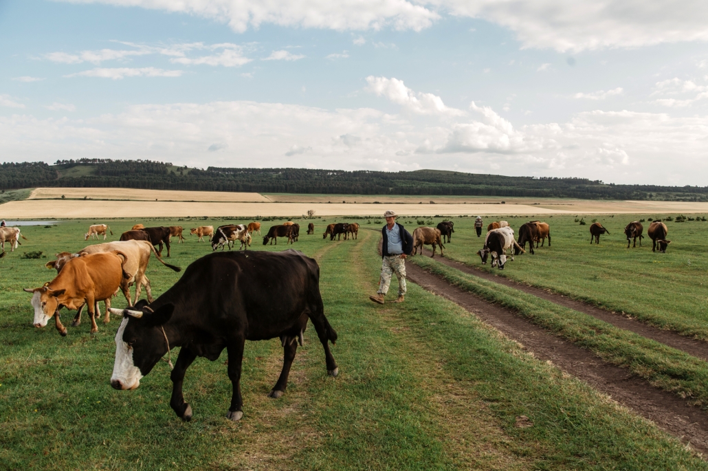 Ditching Meat Isn’t the Answer for Climate Change. Better Farming Is.