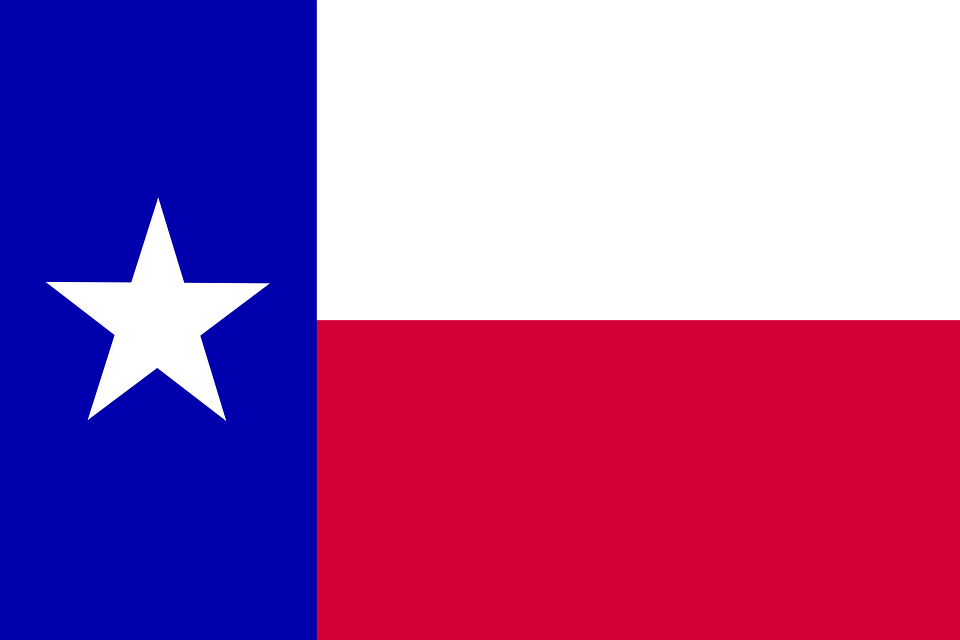 Starting A Business In Texas: 5 Tips For Making It In The Lone Star State