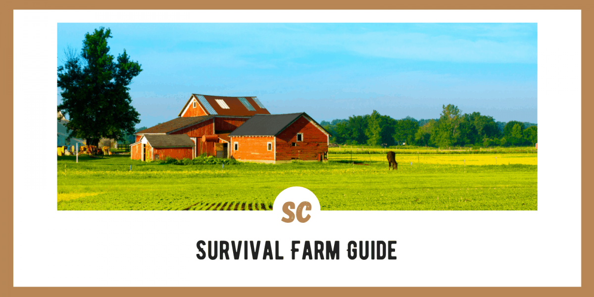 Survival Farming Guide: 10 Things To Know
