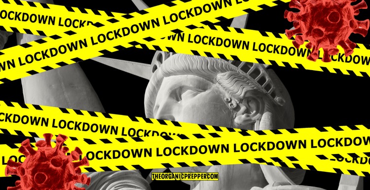 Is Another Lockdown Coming? Here’s How to Get Prepared NOW