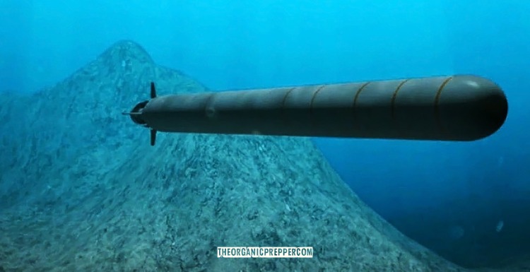 What You Need to Know About Nuclear Torpedoes
