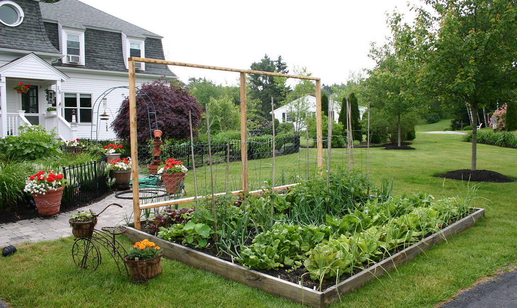 Zone 3 Gardening, by HollyBerry. Vegetable gardening in Maine.