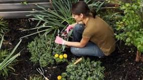 Dr. Munavvar Izhard: medical and health benefits of gardening