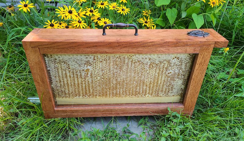 At Sassy Bee Honey, Micro Apiaries Are A Passion Project
