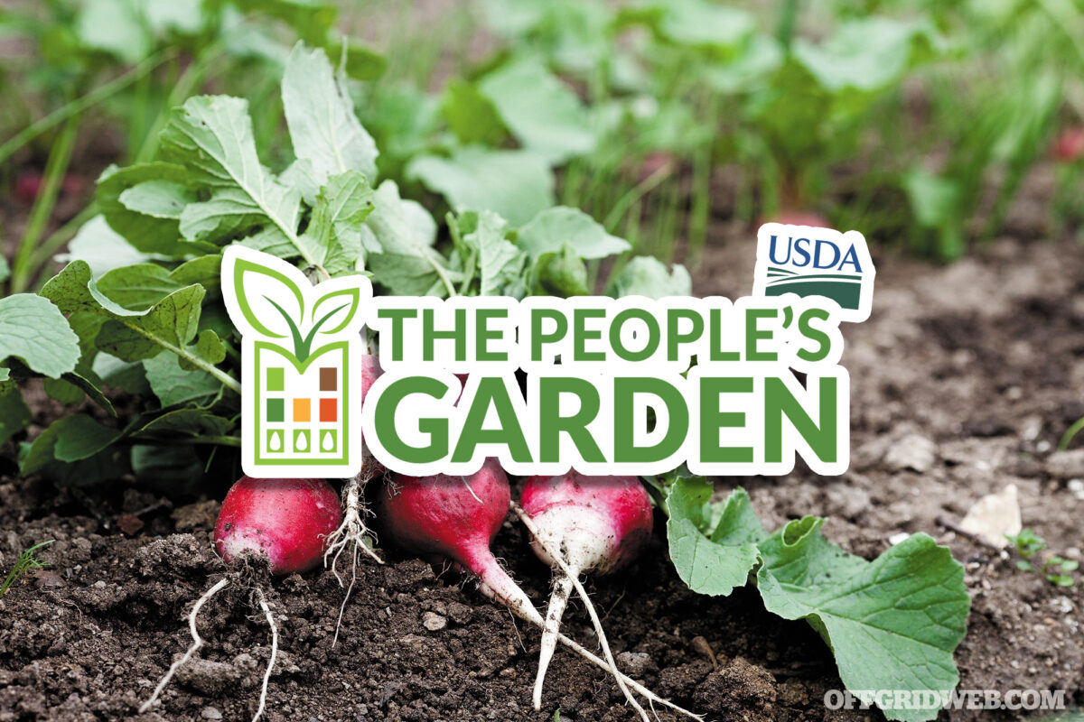 USDA Encourages Registration of “People’s Gardens” to Advance Equity