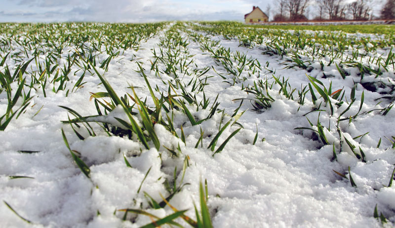 Beat The Snow With This Farm Winter Checklist