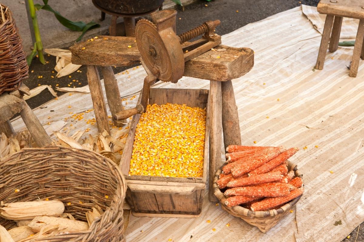 5 Best Corn Shellers for Home Gardeners