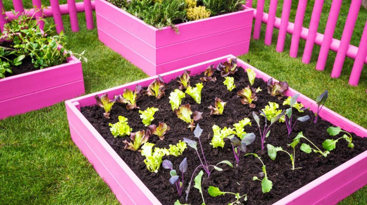 Creative Raised Bed Garden Ideas: Yard Decor For Every Season