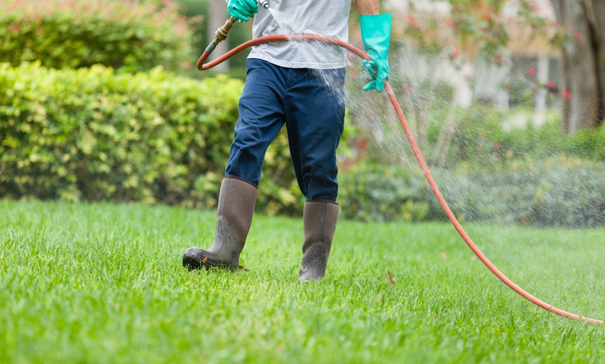 Homeowner’s Guide To Garden Pest Control