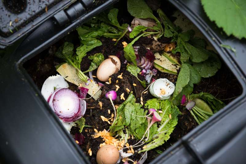 A Homesteader’s Guide to Composting
