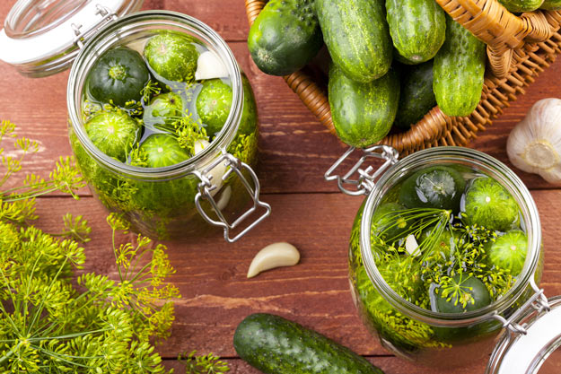 Refrigerator Pickles | A Homesteading Guide To Pickling | Homesteading Simple Self Sufficient Off-The-Grid