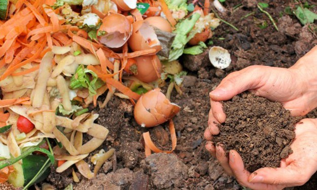 How To Make a Kitchen Compost Bin