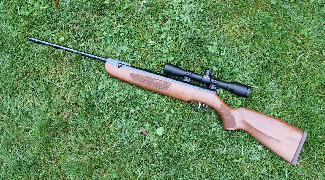 Air Rifles as Survival Tools. Breathing, sight picture, trigger control, and shot placement.