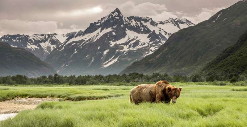Homesteading In Alaska Is Easier Than You Thought
