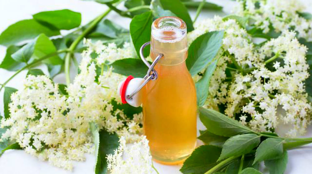 17 Elderflower Liqueur Recipes And Cocktails For Spring And Summer
