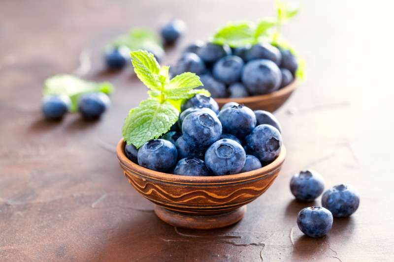 Growing Blueberries on Your Homestead