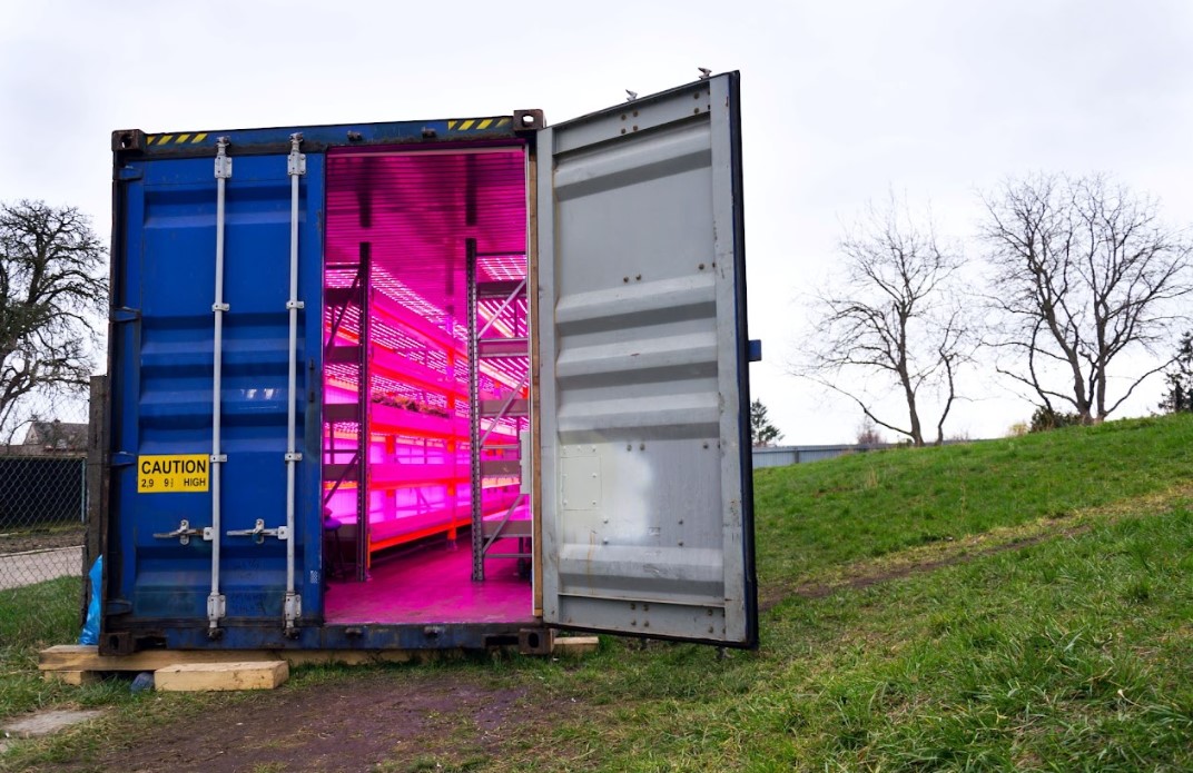 Shipping Containers As Greenhouses: An Innovative Approach To Home Gardening 