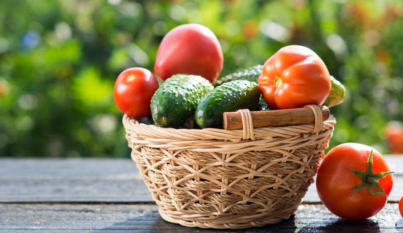 5 Productive Garden Vegetables Every Homestead Should Grow