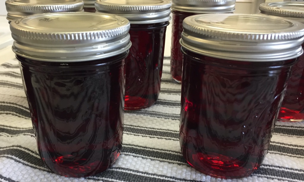 Recipe of the Week: The Easiest Jam or Syrup. A delicious fruit syrup.
