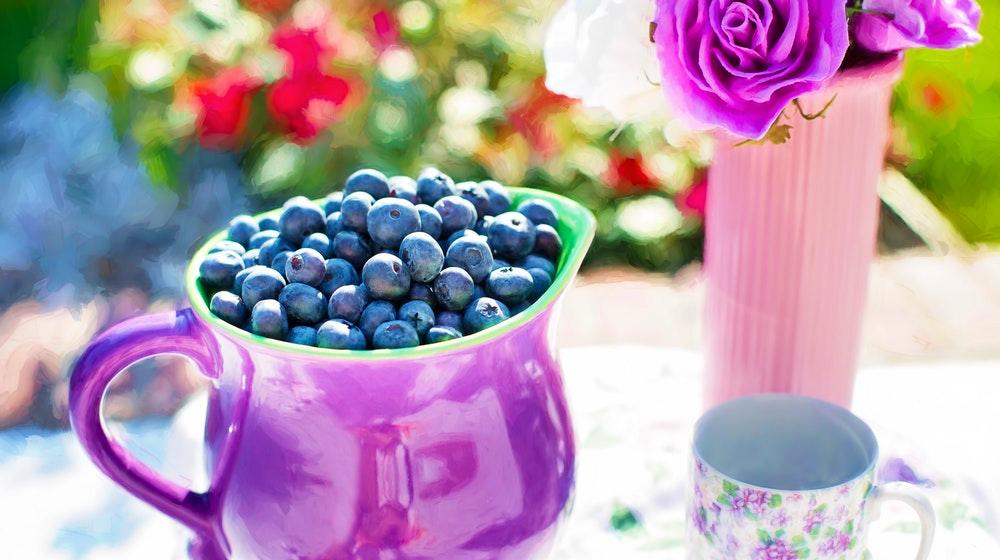 How To Freeze Blueberries In Your Home