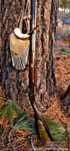 Go squirrel hunting to learn wilderness survival skills – Survival Common Sense Blog