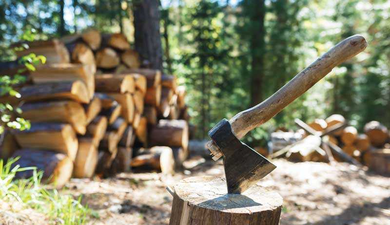 Warm It Up With This Guide To Firewood