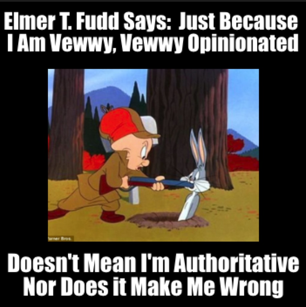 Elmer T. Fudd Says: Just Because I Am Vewwy, Vewwy Opinionated