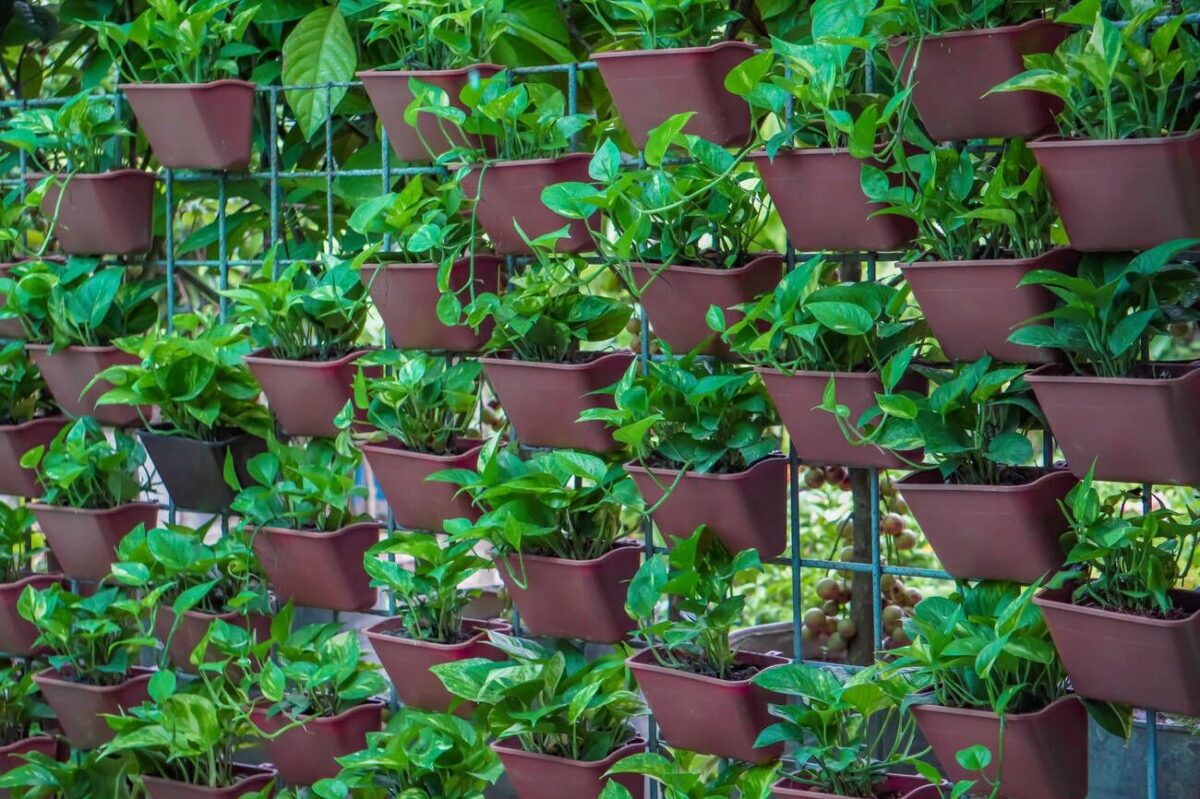 The Best Gardening Methods For Preppers – Part II